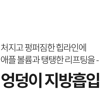 엉덩이 지방흡입 애플힙 볼륨 힙 리프팅