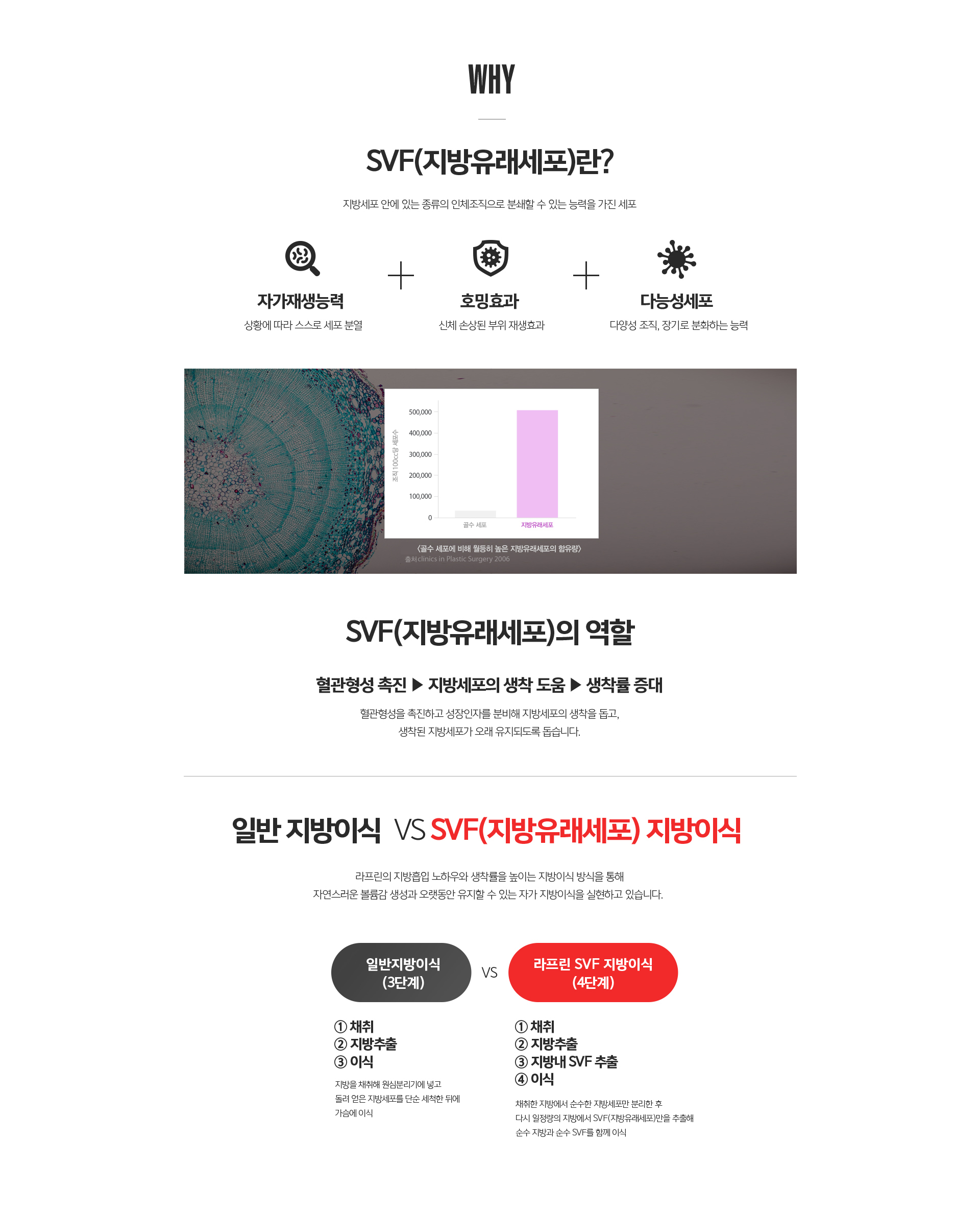 SVF 4단계 슈퍼팻 얼굴지방이식과 일반 3단계 지방이식 생착률 비교 인포그래픽