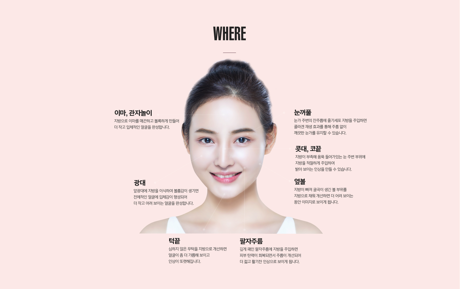 라프린 얼굴지방이식 안전 시스템 – 극저온 셀뱅크, 셀카운팅, 무균클린룸 안내