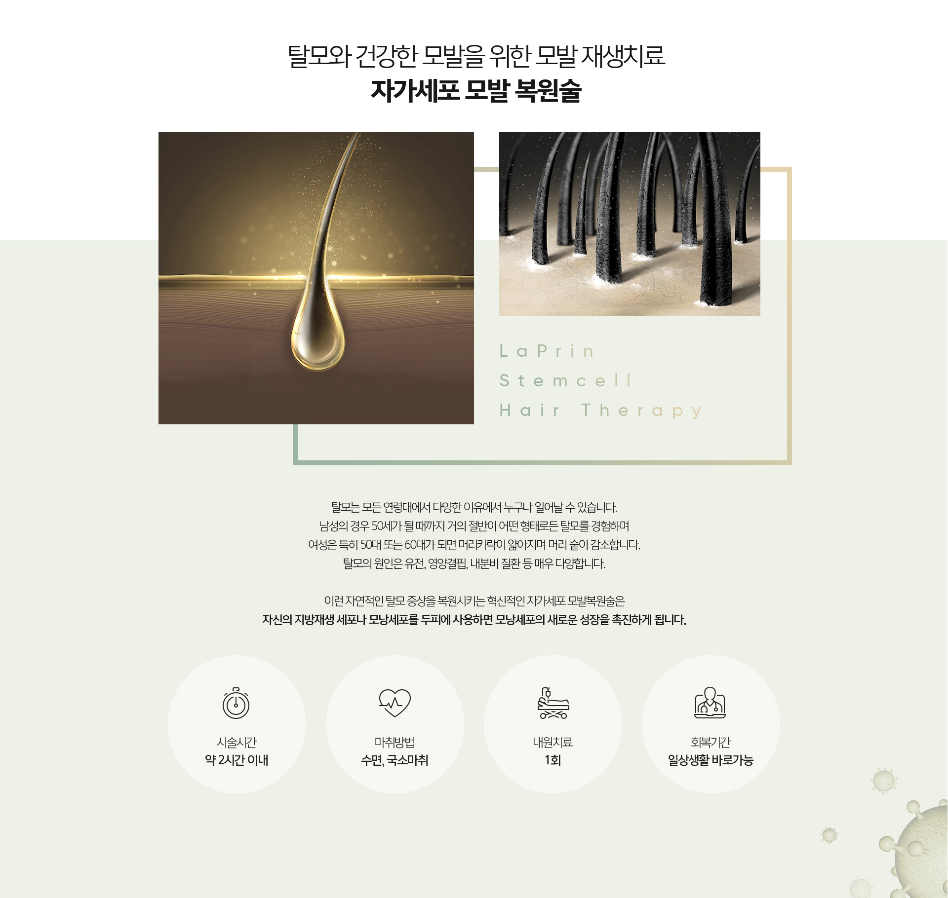 SVF 비수술 탈모치료 원리 – 지방유래세포로 모낭 활성화, 탈모약·PRP 대비 차이 인포그래픽