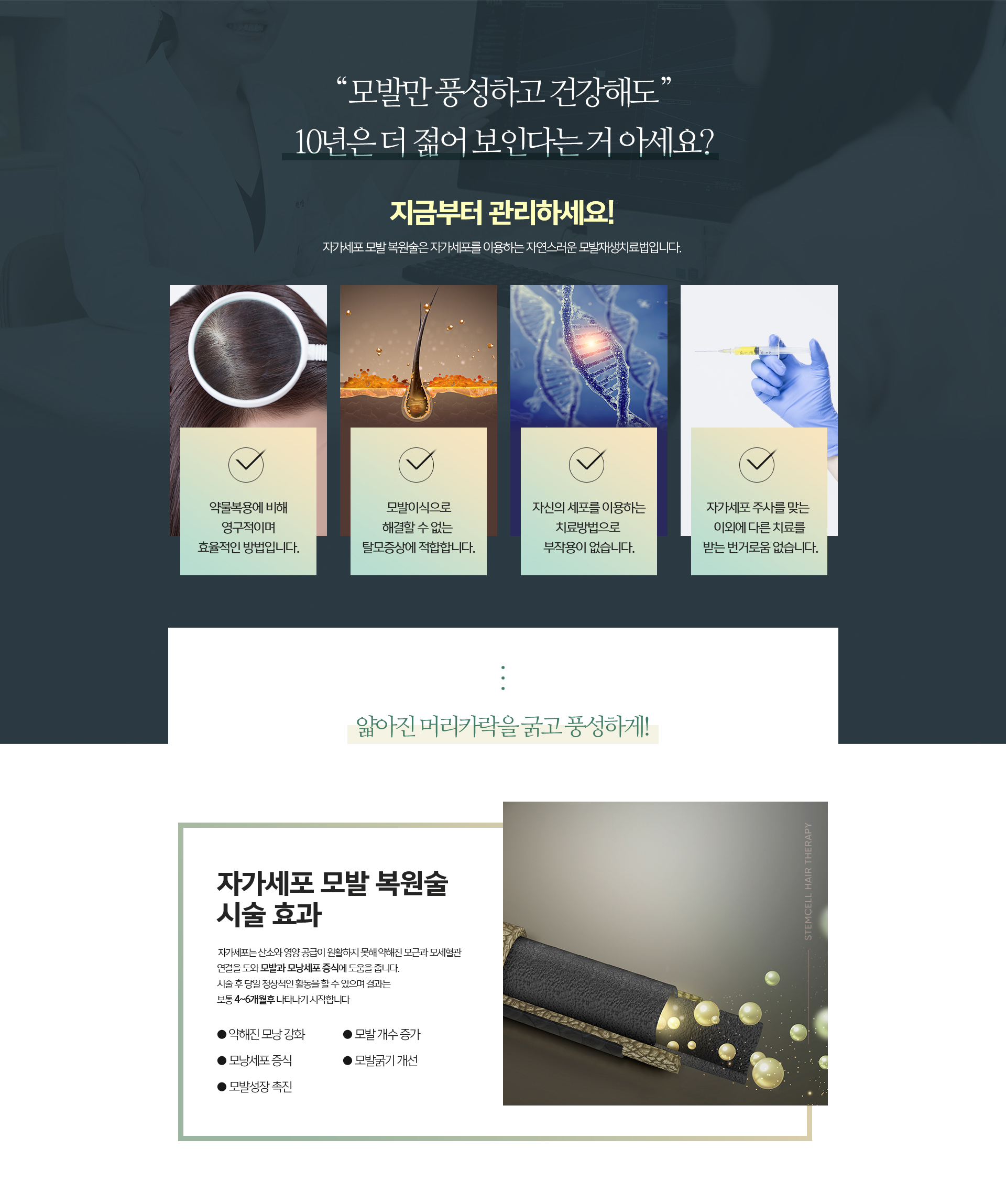 자가세포 모발복원술 시술 방법 – 자가 모낭세포 주사 vs 자가 지방세포(tSVF) 주사 비교